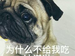 -川成串·自助串串香火锅(朝阳店)