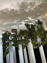 -DC大蔡婚礼策划(李公堤店)
