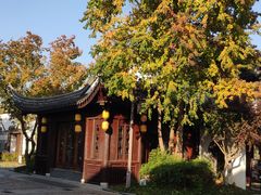-苏州太湖国家湿地公园