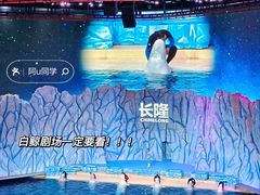 -珠海长隆海洋王国