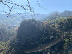 -千岛湖石林