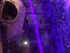 -江南古镇(斗西路万致创意园店)