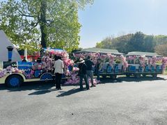 -上海鲜花港