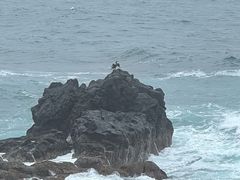 -涉地可支