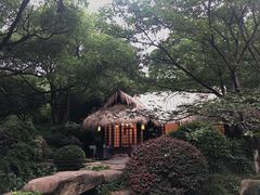 -中国茶叶博物馆(双峰馆区)