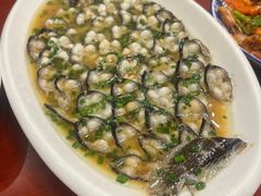 -呼吸森林·生态农庄农家乐私房菜