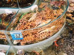 -海蓝海鲜馆(五四北店)
