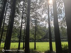 -WeLope紫金山探险公园