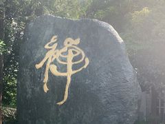 -太极禅苑