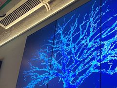 -新石器烤肉(之心城店)
