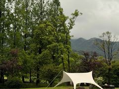 -山水一号·中餐厅