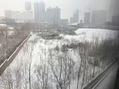 -西安国际创新人才交流中心•药浴温泉