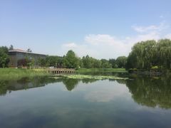 -望湖公园