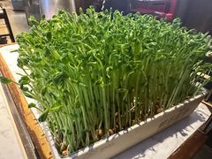 活体有机豆苗-捞神煲汤火锅(湖滨商业街店)