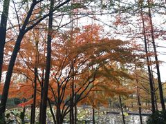 -长广溪湿地公园