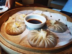-庆春朴门