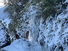 -瓦屋山景区