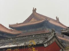 -四喜小胖·北京涮肉(五道营店)