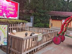 -广州长隆国际大马戏