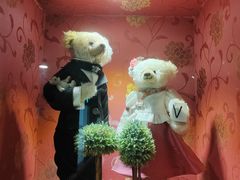 -济州岛泰迪熊博物馆