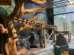 -绿色星球动物主题公园