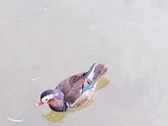 -西安曲江寒窑遗址公园