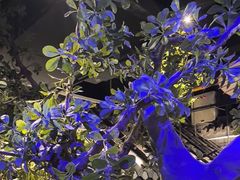 -绿茶餐厅(燕郊永旺店)