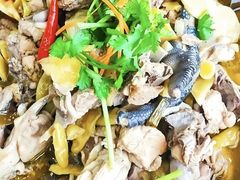 -陈三娃泡姜鸡
