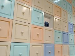 -表妹香港靓点餐厅