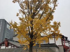 -龙潭水乡