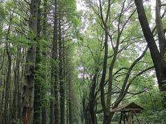 -同里国家湿地公园