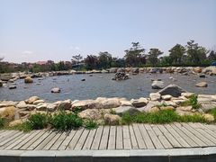 -将军石酒店温泉