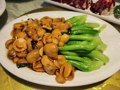 -新侨小馆(东直门北小街店)