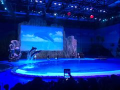 -华夏文旅海洋公园