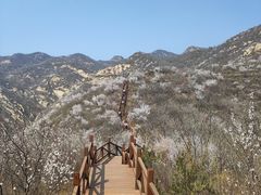 -大岭沟猕猴桃谷风景区