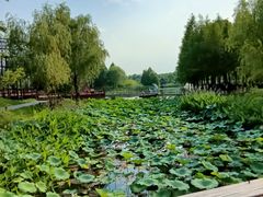 -东台西溪天仙缘景区