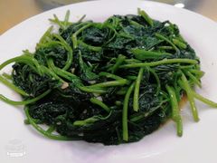 -春园海鲜广场D区6号(钟姐海鲜加工店)
