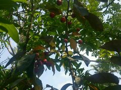 -青岛银沙滩温德姆至尊酒店