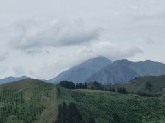 -果子沟大桥