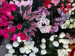 -循礼门鲜花花市(武汉循礼门店)
