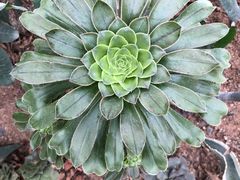 -郑州植物园