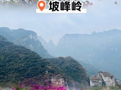-周口店坡峰岭风景区