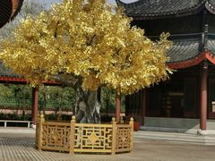 -广东圆玄道观