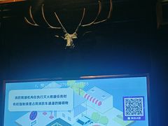 -骑士KTV(红谷滩万达店)