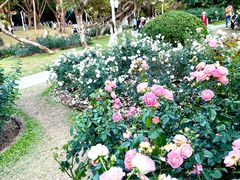 -人民公园(罗湖区)