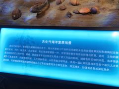 -天津自然博物馆
