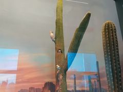 -安徽省地质博物馆