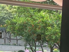 -怡咖啡·自助餐·西安香格里拉