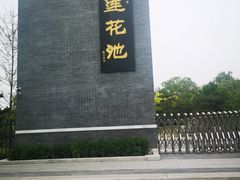 -莲花池公园