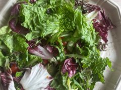 -Tubestation站点比萨(五道营店)